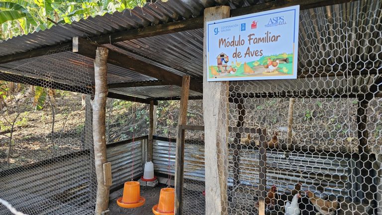 ▶️“Visitas técnicas a familias beneficiarías de módulos de aves de doble propósito en las comunidades Barrial y Potrero de Meanguera”◀️